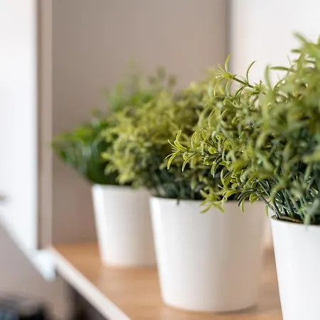 Zwischen Den Seen Vietzen